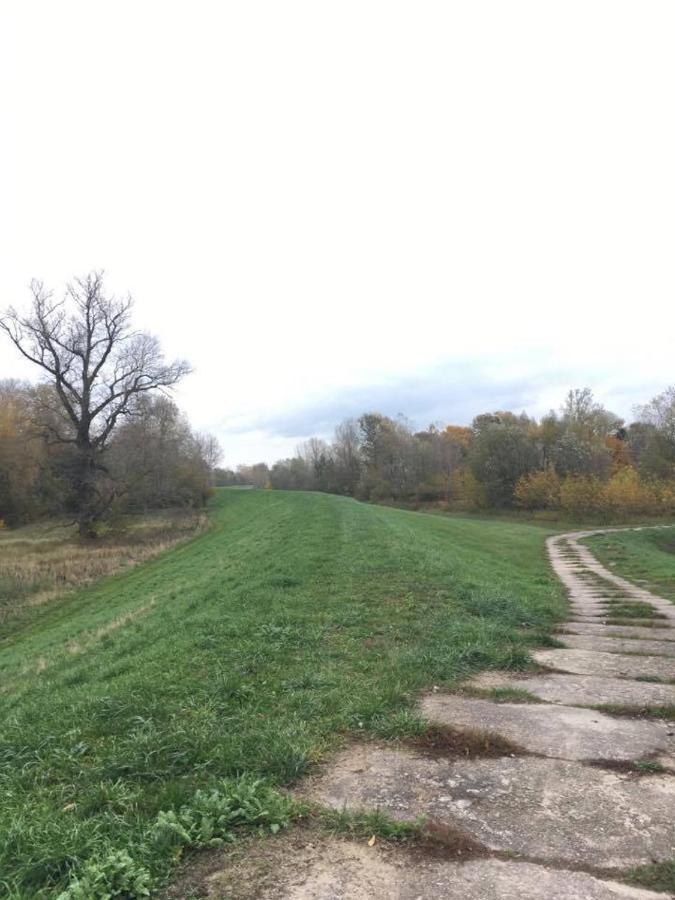 Chata Nad Wisla U Macieja Dobrzyków 외부 사진